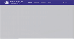 Desktop Screenshot of pegasusmakina.com